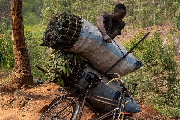 Transport de charbon sur vélo.
Chaque sac pèse environ 30 kg et sera vendu 15 à 18000 Fb